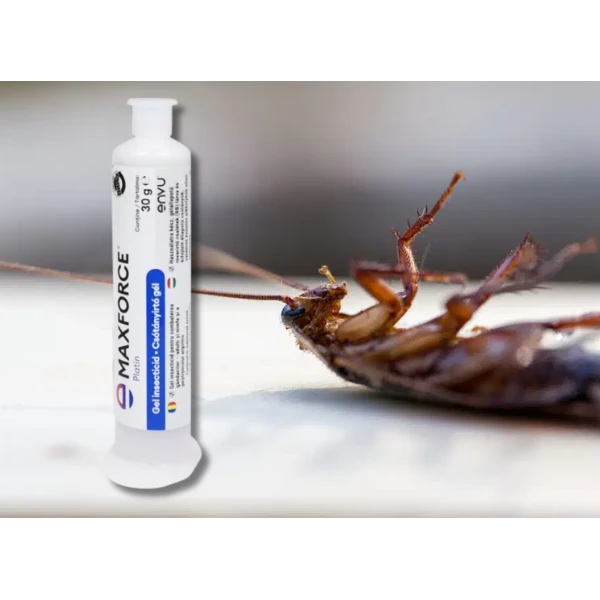 MaxForce IC si MaxForce Platin: Diferente și Eficienta in Combaterea Gandacilor